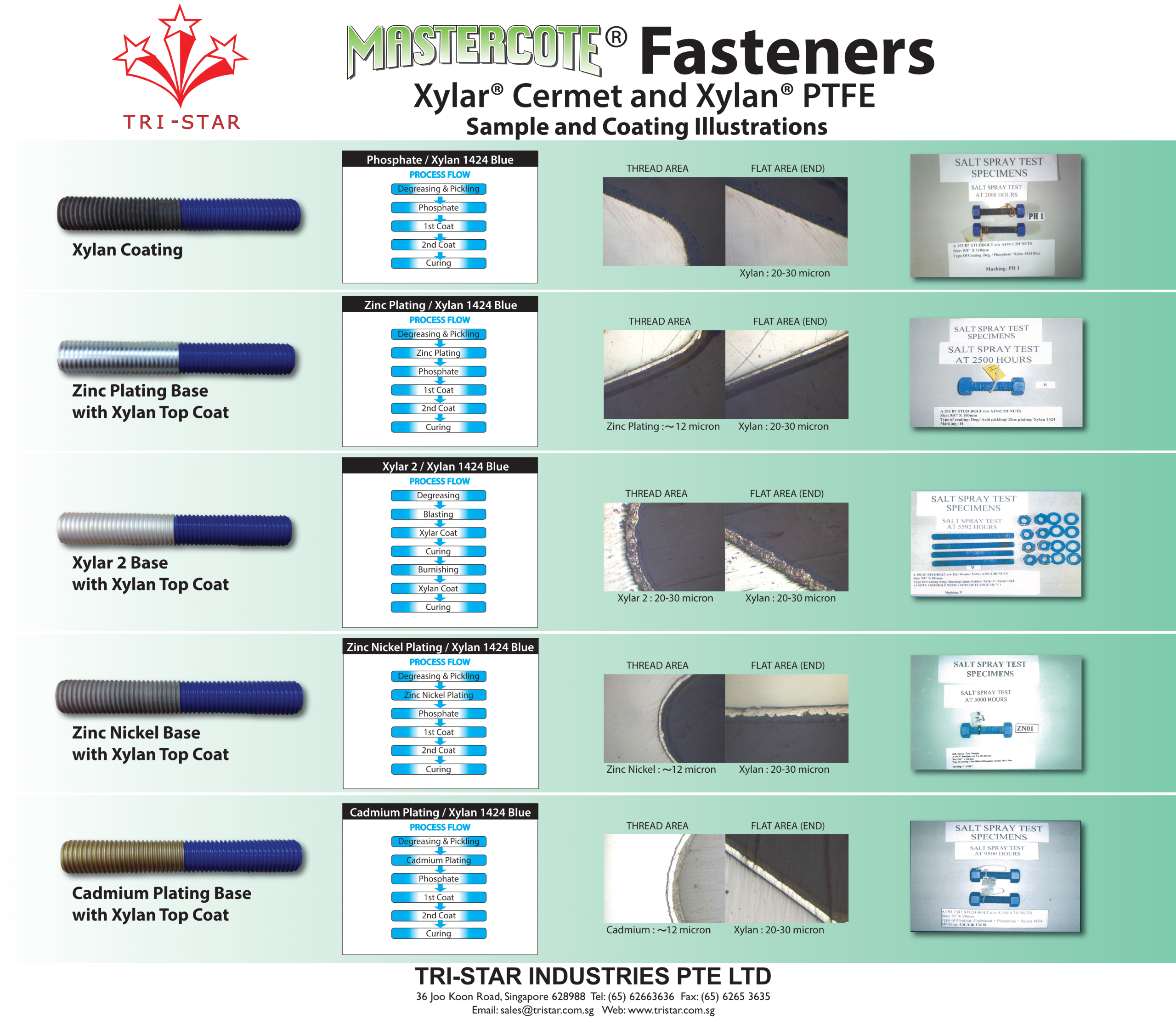 Xylan Coating illustration